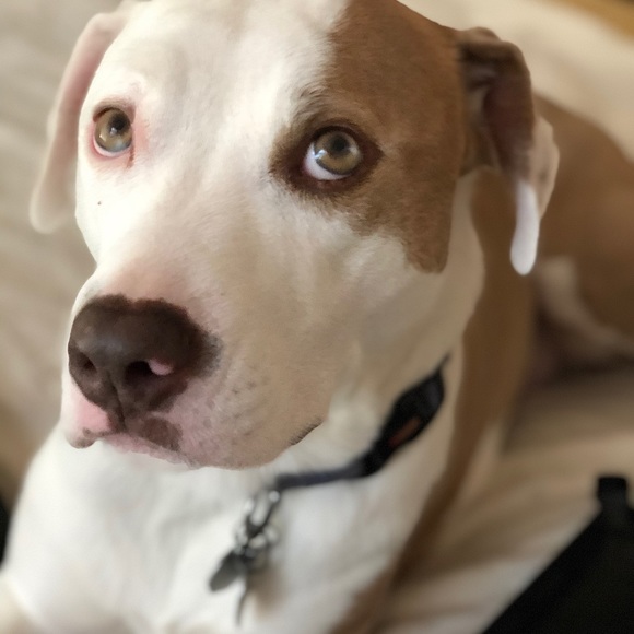 Bundle And Save - Picture 3 of 4